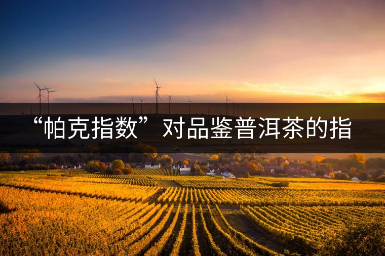 “帕克指數(shù)”對(duì)品鑒普洱茶的指導(dǎo)意義在哪里？「跨界有道」