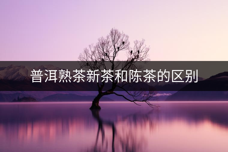 普洱熟茶新茶和陳茶的區(qū)別 普洱熟茶新茶和陳茶的區(qū)別