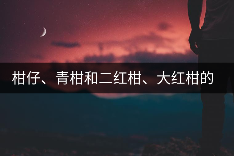 柑仔、青柑和二紅柑、大紅柑的區(qū)別，你可知道？