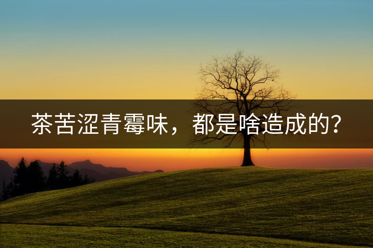 茶苦澀青霉味，都是啥造成的？