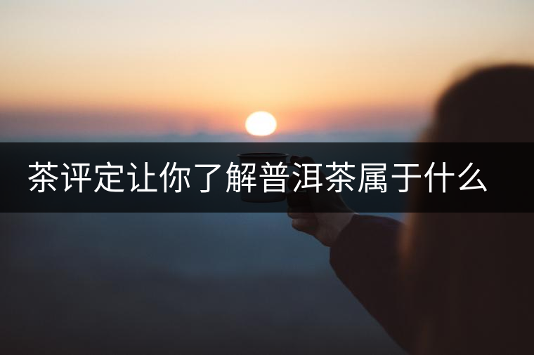 茶評定讓你了解普洱茶屬于什么茶系？