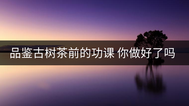 品鑒古樹茶前的功課 你做好了嗎？