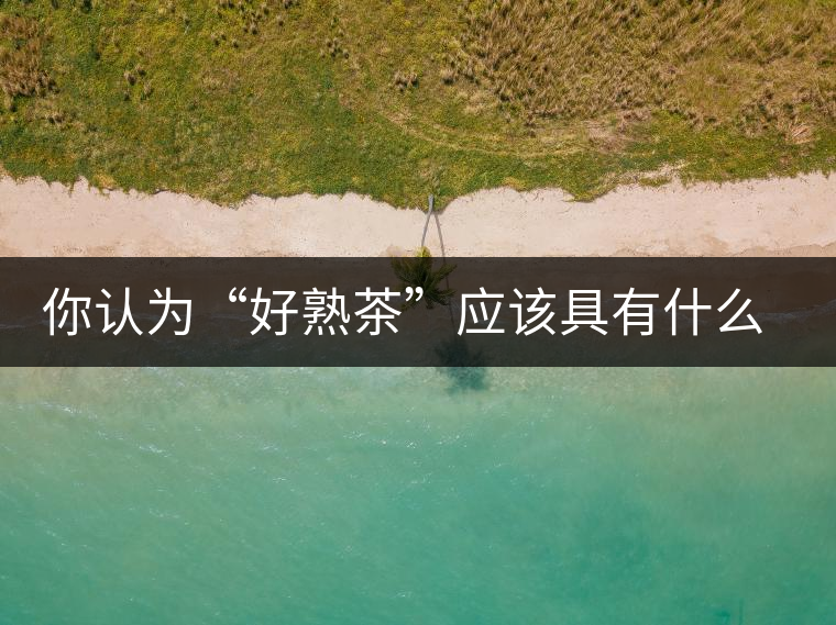 你認(rèn)為“好熟茶”應(yīng)該具有什么樣的標(biāo)準(zhǔn)？