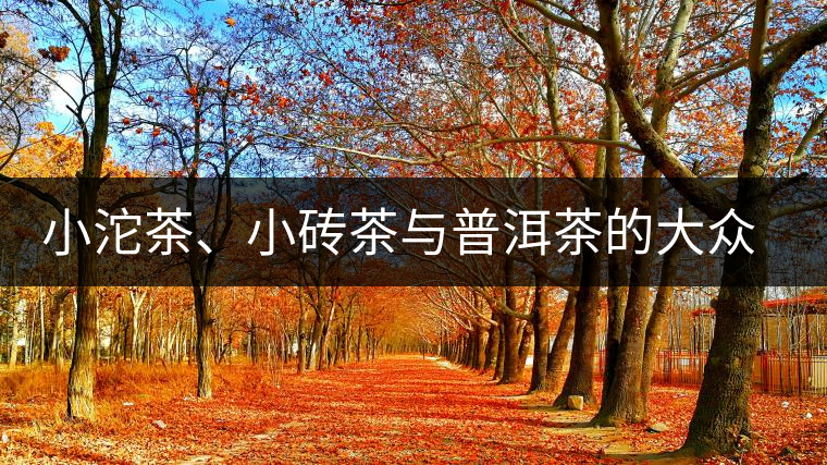 小沱茶、小磚茶與普洱茶的大眾化之路