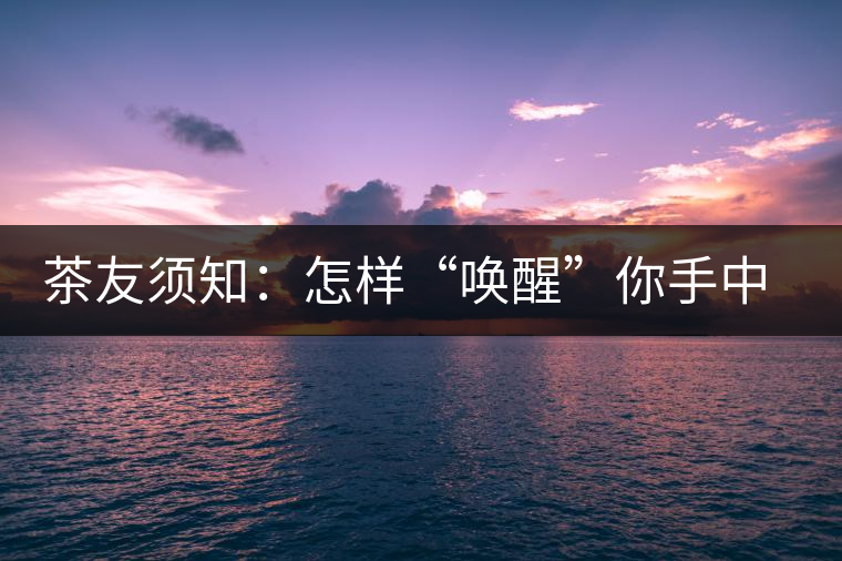 茶友須知：怎樣“喚醒”你手中的那一餅普洱茶？