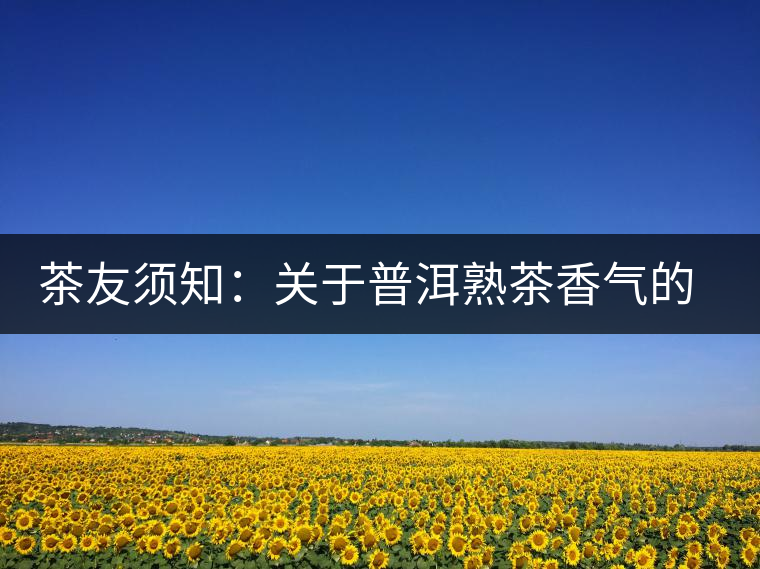 茶友須知:關于普洱熟茶香氣的“秘密” 茶友須知:關于普洱熟茶香氣的“秘密”