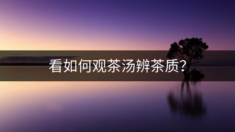 看如何觀茶湯辨茶質(zhì)？