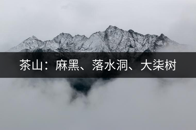茶山：麻黑、落水洞、大柒樹