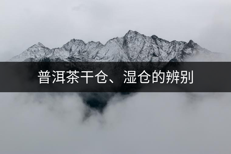 普洱茶干倉(cāng)、濕倉(cāng)的辨別