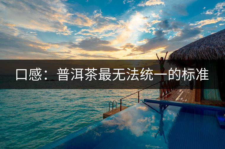 口感:普洱茶最無法統(tǒng)一的標準 口感:普洱茶最無法統(tǒng)一的標準