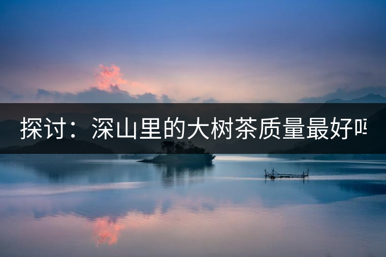 探討：深山里的大樹茶質(zhì)量最好嗎？