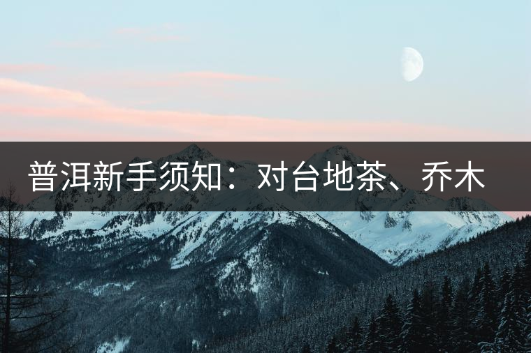 普洱新手須知：對(duì)臺(tái)地茶、喬木茶、古樹茶的簡(jiǎn)易理解