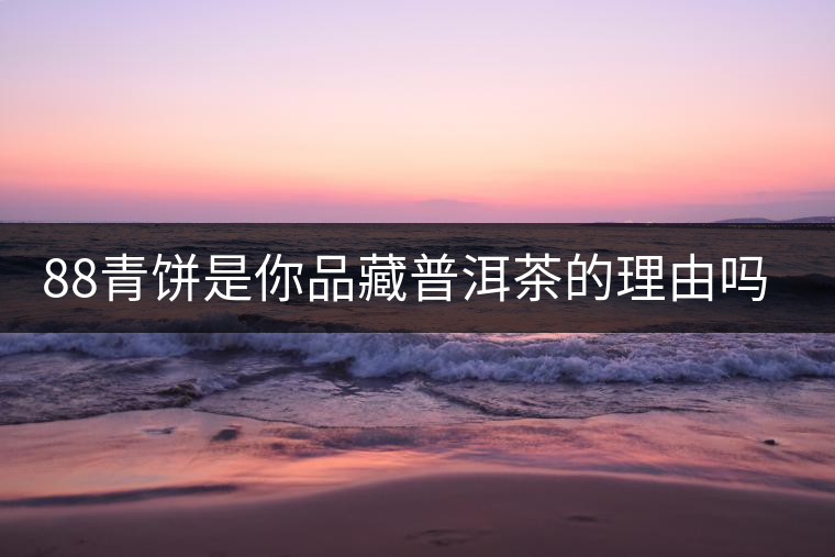 88青餅是你品藏普洱茶的理由嗎？