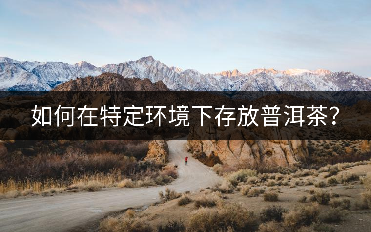 如何在特定環(huán)境下存放普洱茶？