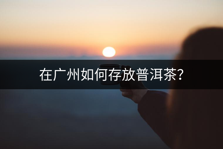 在廣州如何存放普洱茶？