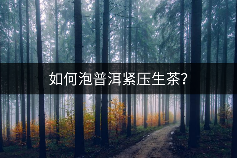 如何泡普洱緊壓生茶？