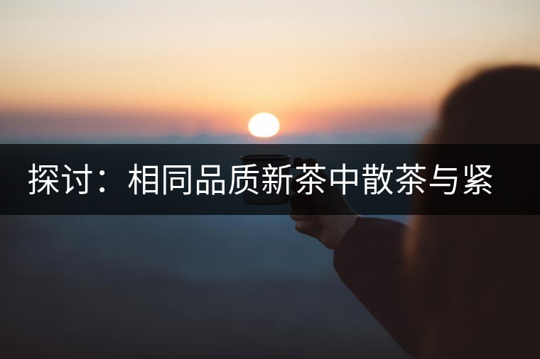 探討：相同品質新茶中散茶與緊壓茶哪個好？