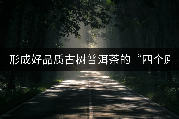 形成好品質(zhì)古樹(shù)普洱茶的“四個(gè)原則”