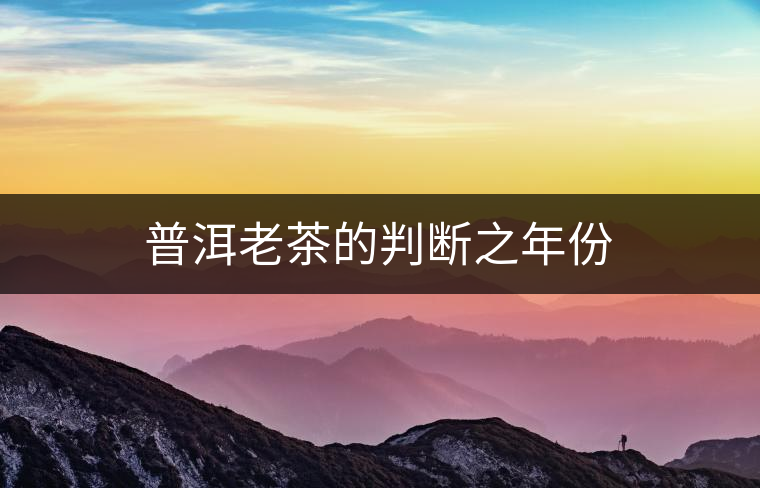 普洱老茶的判斷之年份