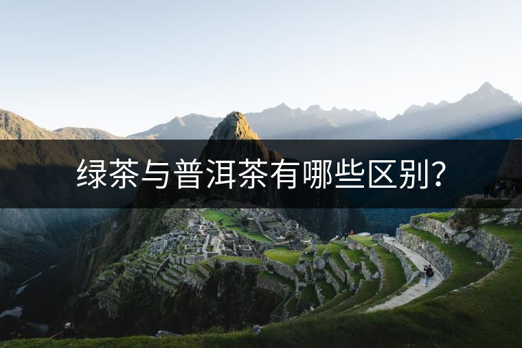 綠茶與普洱茶有哪些區(qū)別？