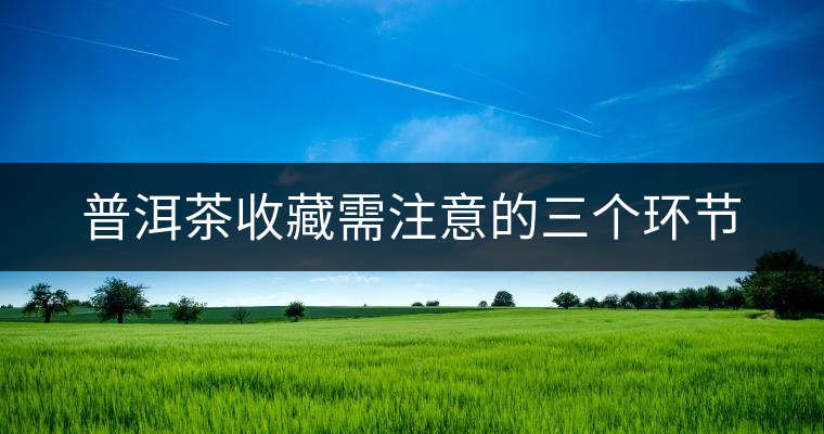 普洱茶收藏需注意的三個環(huán)節(jié)