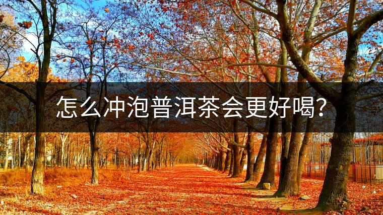 怎么沖泡普洱茶會更好喝？