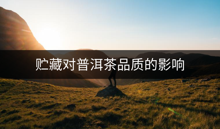 貯藏對(duì)普洱茶品質(zhì)的影響