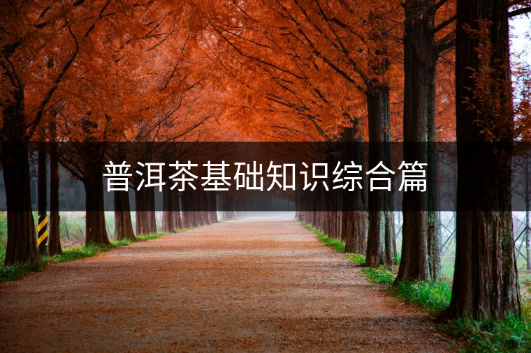 普洱茶基礎(chǔ)知識綜合篇 普洱茶基礎(chǔ)知識綜合篇