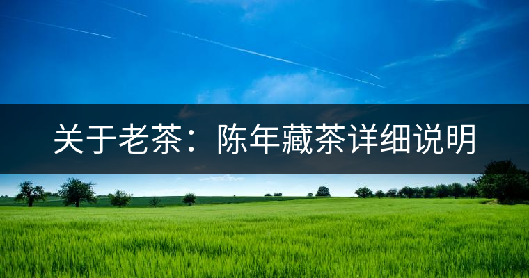 關(guān)于老茶：陳年藏茶詳細(xì)說明