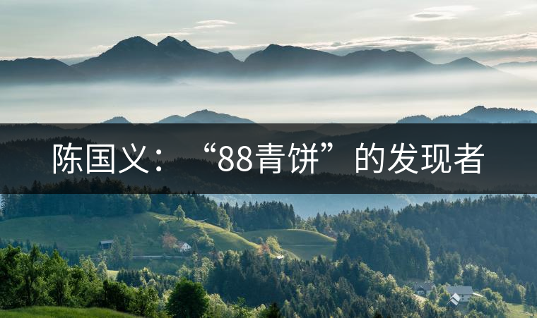 陳國義：“88青餅”的發(fā)現(xiàn)者