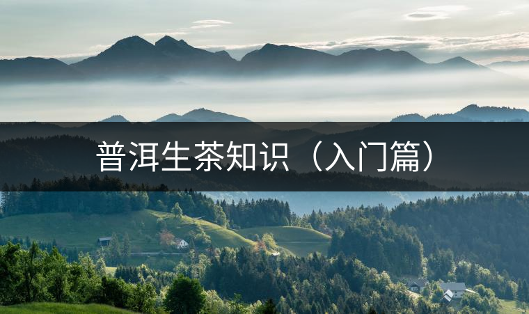普洱生茶知識（入門篇）