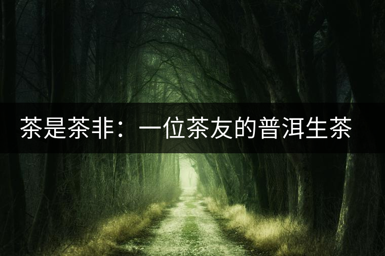 茶是茶非：一位茶友的普洱生茶觀