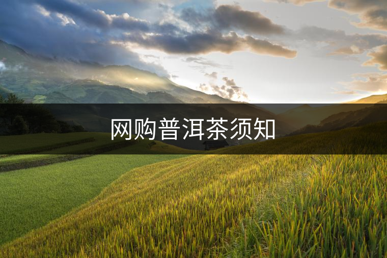 網(wǎng)購(gòu)普洱茶須知