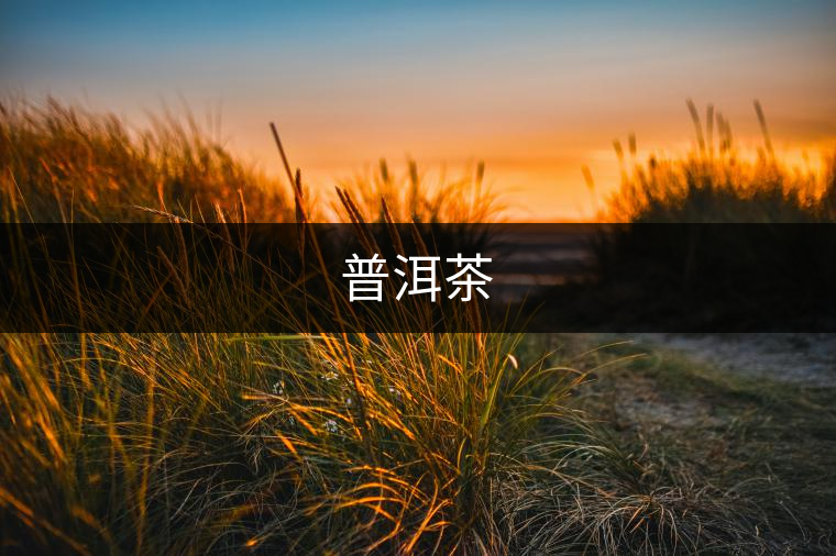 普洱茶