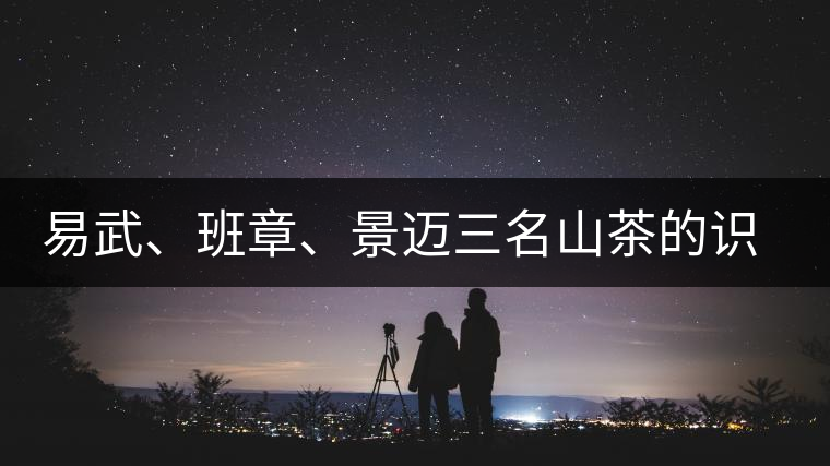 易武、班章、景邁三名山茶的識(shí)別