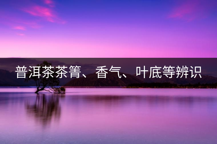 普洱茶茶箐、香氣、葉底等辨識(shí)