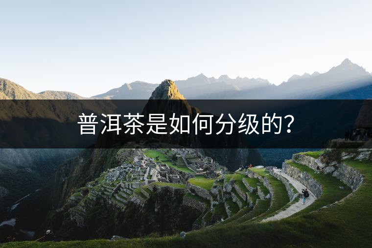 普洱茶是如何分級(jí)的？