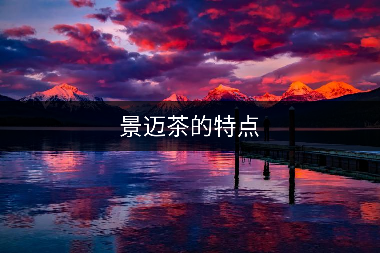 景邁茶的特點(diǎn) 景邁茶的特點(diǎn)