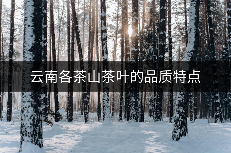 云南各茶山茶葉的品質特點 云南各茶山茶葉的品質特點