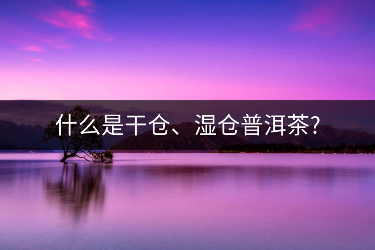 什么是干倉、濕倉普洱茶?