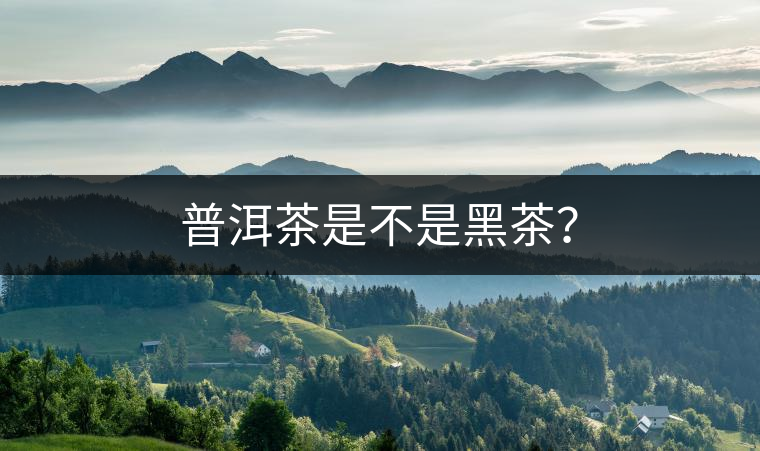 普洱茶是不是黑茶？