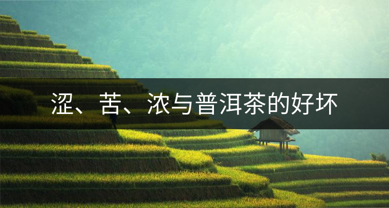 澀、苦、濃與普洱茶的好壞