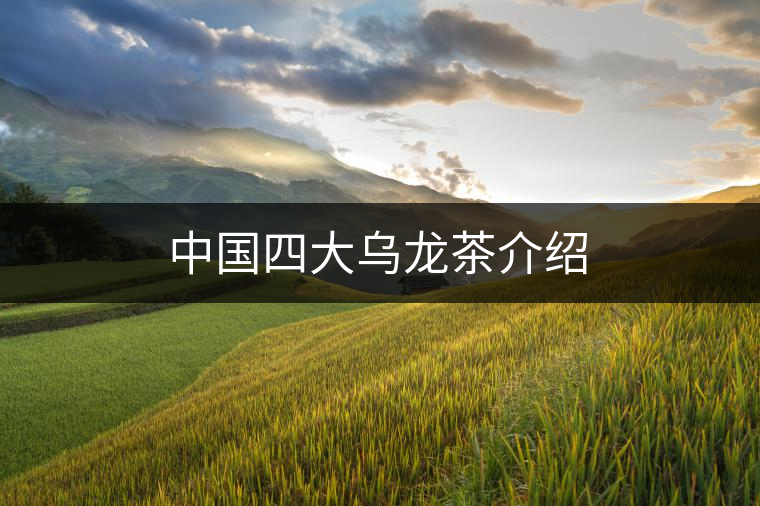 中國四大烏龍茶介紹 中國四大烏龍茶介紹