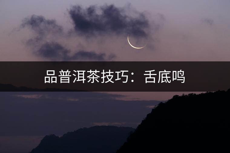 品普洱茶技巧：舌底鳴