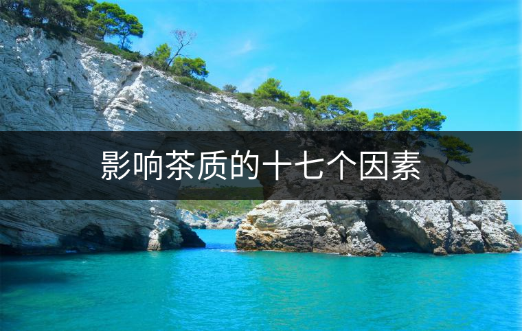 影響茶質(zhì)的十七個(gè)因素 影響茶質(zhì)的十七個(gè)因素