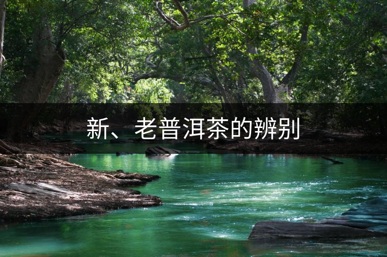 新、老普洱茶的辨別