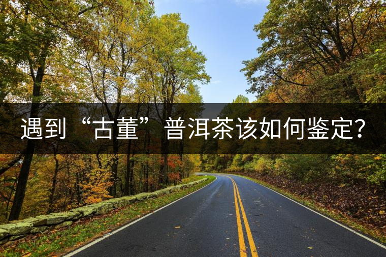 遇到“古董”普洱茶該如何鑒定？