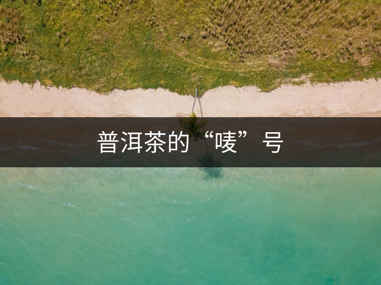 普洱茶的“嘜”號