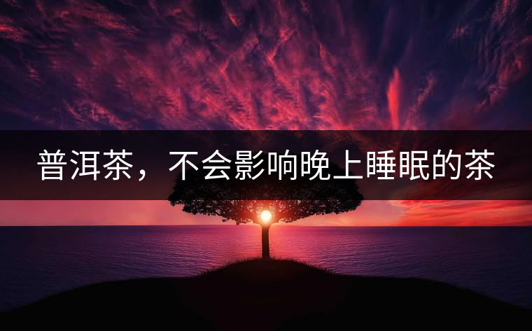 普洱茶，不會影響晚上睡眠的茶