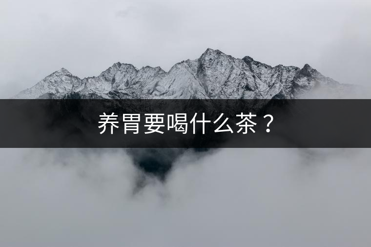 養(yǎng)胃要喝什么茶 ？